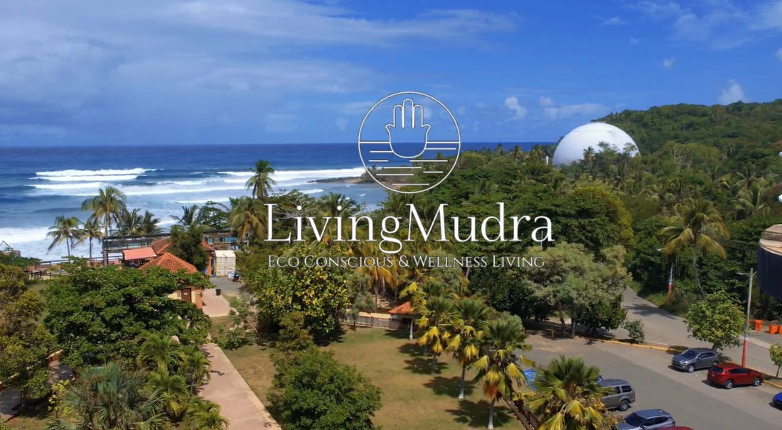 Living Mudra - Nature advocates | Puerto Rico | Save our planet