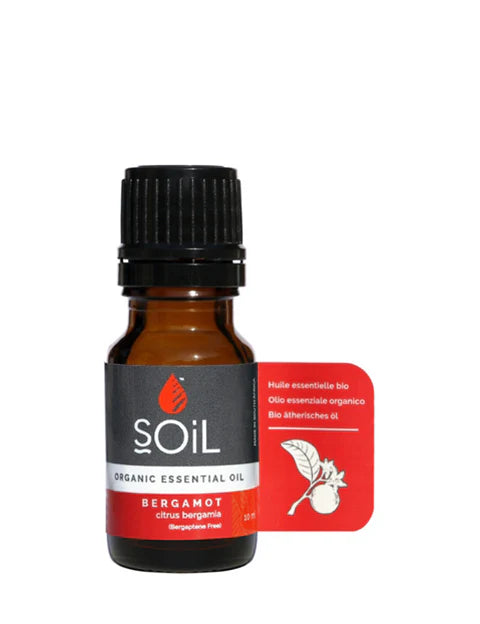 SOiL Organic Bergamot Oil - 10ml