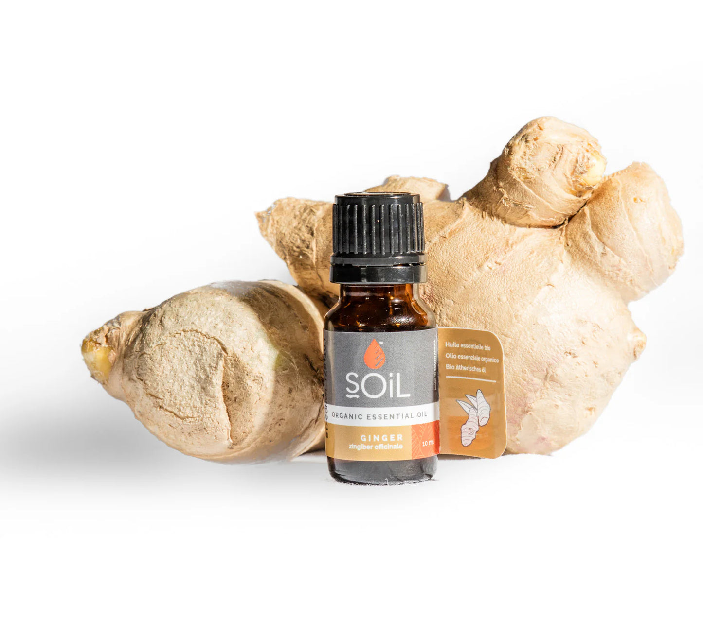 SOiL Organic Ginger Oil - 10ml